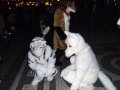 DSCF2783.JPG